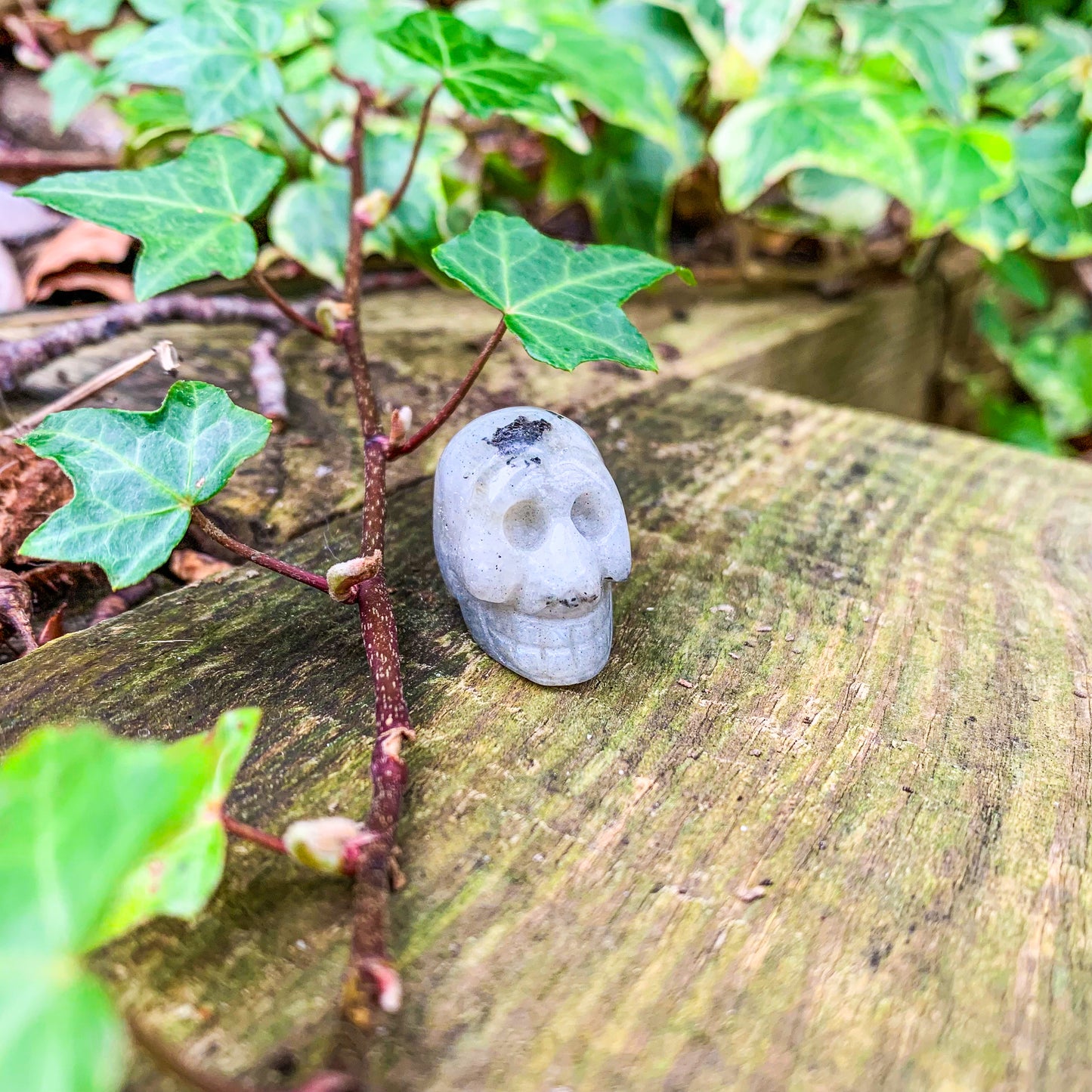 Rainbow Moonstone Skull